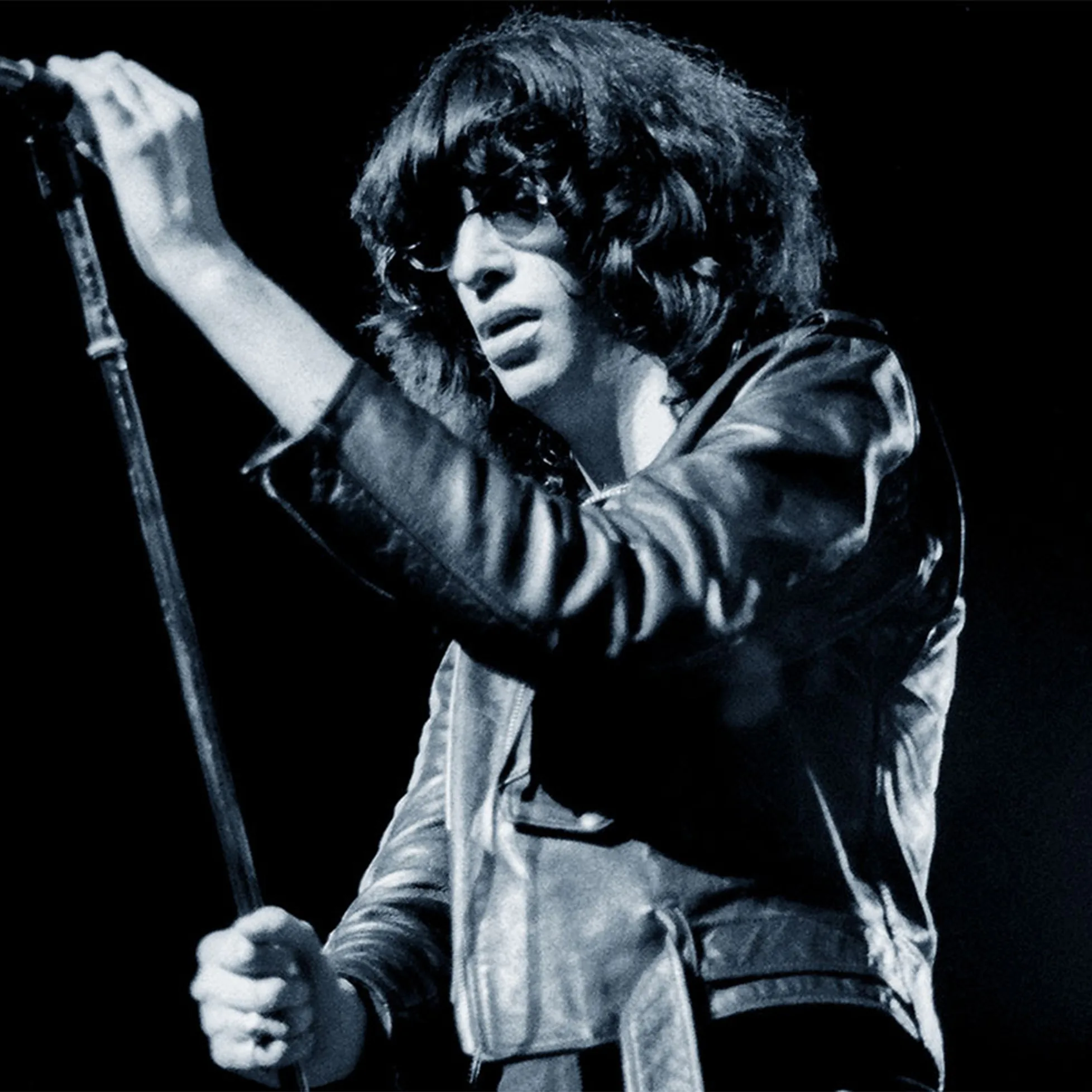 Joey Ramone singing passionately into a microphone on stage.